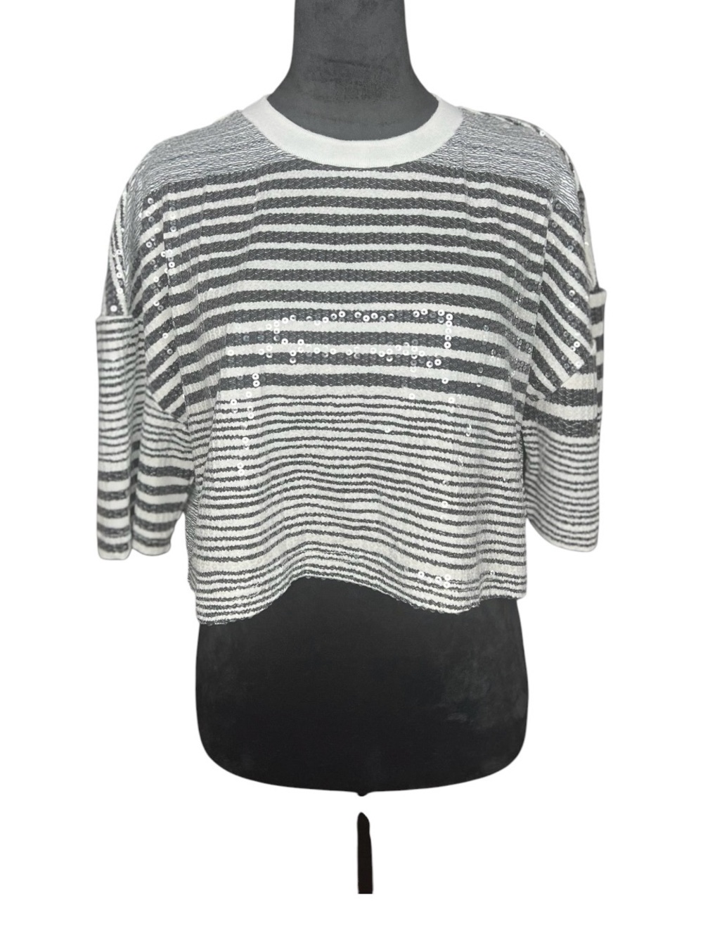 REHAB LAB Striped Sequin Crewneck Short Sleeve Festival Oversized Cropped Tee L